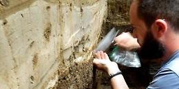 Un ricercatore pontino nel team che ha riscritto la fine della civiltà Maya