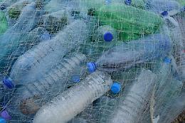 Plastic Free, cinque appuntamenti per un evento Regionale