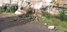 Caduta massi da Monte Sant'Angelo, scatta l'allerta