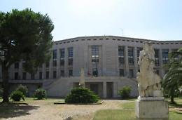 Statue di Palazzo M, verso il progetto di restauro delle opere