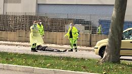 Si sdraia in mezzo alla strada e blocca il traffico