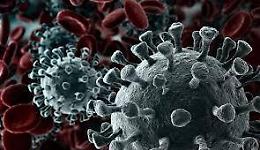 Coronavirus, La Sapienza: identificato e colpito il tallone di Achille del Covid