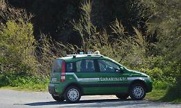 Chiosco senza autorizzazione, scatta la denuncia della Forestale
