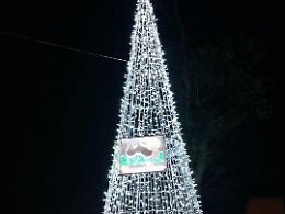 Altissimo e solidale: ecco l'albero di Natale della Pedagnalonga