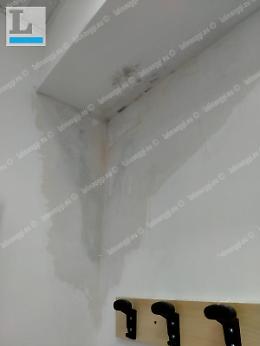 Infiltrazioni d'acqua e intonaci scrostati, la scuola Orzini  già cade a pezzi