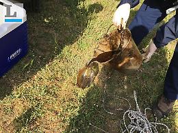 Campo di Carne, sostanze inquinanti sversate da un anno nel fosso delle Cannucce