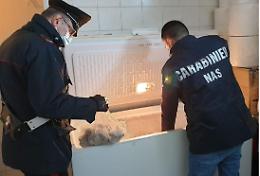Mancata tracciabilità di 125 kg di prodotti alimentari, multa e denuncia