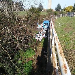 Ape rubata e gettata nel fosso, l'allarme del comitato Vallelata-Poggio Valli