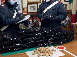 Trovato con 3,5 chili di bulbi di papavero da oppio in casa: arrestato