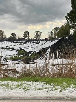 La grandinata mette in ginocchio gli agricoltori: «Adesso è finita»
