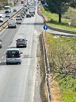 Sospetto diserbante lungo la Pontina: verifiche in corso