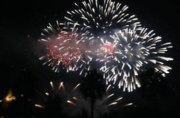 Spaventato dai fuochi d'artificio, cane fugge e viene investito da un'auto