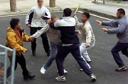 Bastonate al culmine della rissa: un denunciato