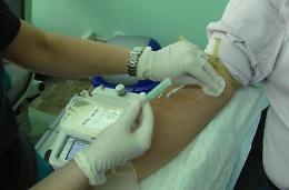 Avis, record di donazioni