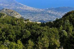 Sagre, tornei sportivi e cattura dei randagi. La "cuccagna" montana
