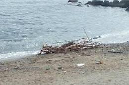 Rinvenuto privo di vita in mare a Messina il corpo dell'anziano scomparso sabato da Latina Scalo 
