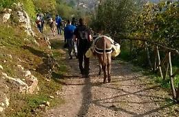 Nuove formule per il turismo, esperimento sulla via Francigena