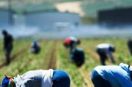 Caporalato, 10 lavoratori in nero nell'azienda agricola