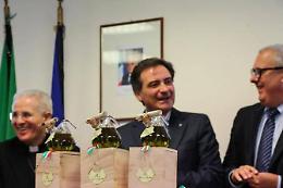 L'olio della Legalità prodotto dall'ulivo della Prefettura