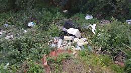 Furbetti dei rifiuti, ecco le sentinelle dell'ambiente