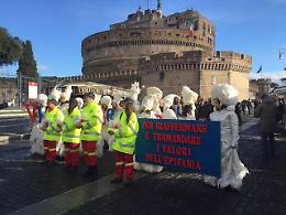 (FOTO GALLERY) Le eccellenze dei Lepini sfilano davanti al Papa e in Vaticano