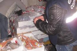 Maxi sequestro di pesce mal conservato, multe per 73mila euro