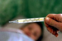 Continua l'allarme influenza. Paura anche per il virus Zika