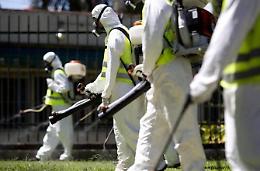 Virus Zika come ebola, polio e influenza suina: ora è emergenza internazionale