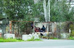 L'ex Pozzi Ginori ora è una stalla