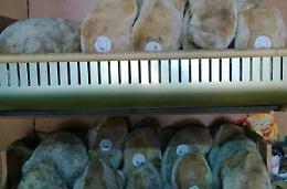 Due milioni di bollini, i numeri record del Pane di Lariano