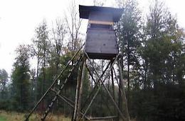 L'asse cede e precipita mentre fa birdwatching. Un 63enne trasportato al San Camillo