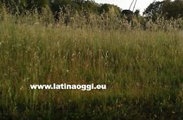 Rotatorie pericolose, il Comune scrive alla Provincia