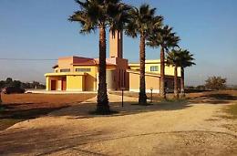 Ladri senza cuore: rubati 1800 euro in chiesa