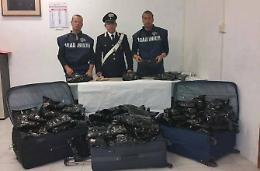 Preso con 25 chili di bulbi di papavero essiccati
