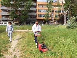 La campagna politica si fa col decespugliatore