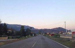 Platani tagliati, i dubbi dei cittadini