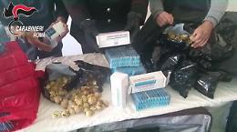 Bulbi d'oppio e pasticche illegali, scatta il maxi sequestro