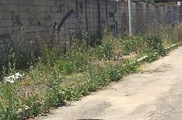Degrado in centro, la denuncia di Mochi 