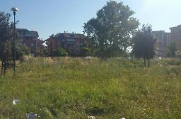 Angoli di città come giungle, lo scatto dal Q4