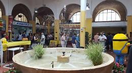 Inaugurato il nuovo mercato coperto, torna la fontana di Fondazione