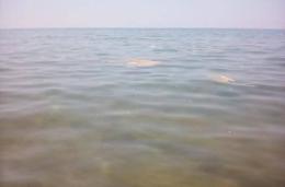 Mare sporco con "giallo", Acqualatina: "Depuratore ok"