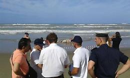 [FOTO] Capodoglio morto impigliato nelle reti da pesca. Il ritrovamente in spiaggia