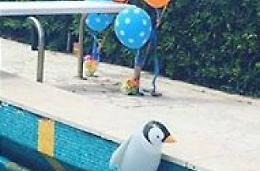 Festa di compleanno sulle dune per l'azzurro Alessio Cerci