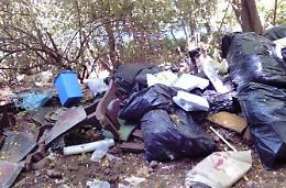 Bonificata un'area boschiva protetta