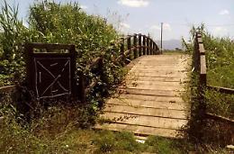 Laghi Gricilli, un nuovo progetto