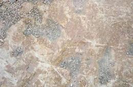 Impronta di dinosauro, Latina e Terracina agiranno insieme
