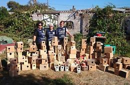 Sequestrato un allevamento abusivo di uccelli