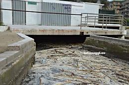 Emergenza inquinamento nel fosso Loricina, Legambiente incontra i balneari