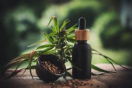 Cannabidiolo (CBD): cos'è, perché è così famoso, correlazioni col nostro organismo