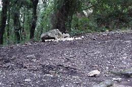Strada chiusa per le frane, si accelera sui lavori